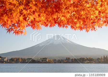 Mount Fuji rising above Lake Kawaguchiko framed by autumn leaves Mount Fuji rising above Lake Kawaguchiko framed by autumn leaves 135189909
