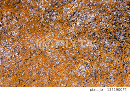 Abstract image of a plurality of intertwined threads Abstract image of a plurality of intertwined threads 135190075