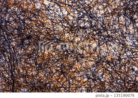 Abstract image of a plurality of intertwined threads Abstract image of a plurality of intertwined threads 135190076