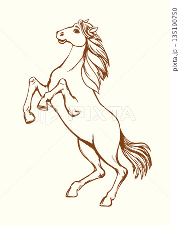 Vector drawing. Man on the horse Vector drawing. Man on the horse 135190750