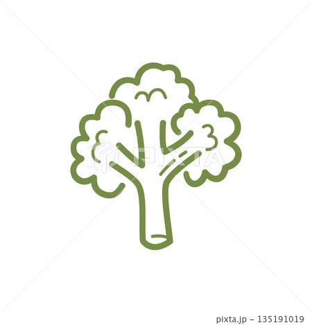 Cute hand drawn broccoli in minimal doodle style Cute hand drawn broccoli in minimal doodle style 135191019