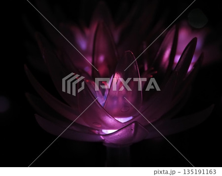 暗闇に浮かぶ花 135191163