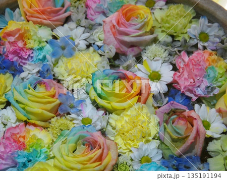 水に浮かぶ花 水に浮かぶ花 135191194