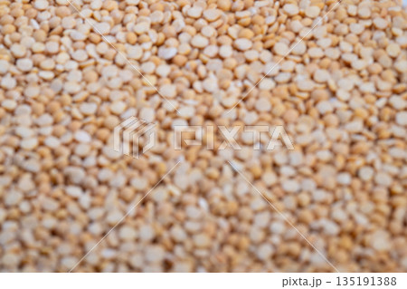 Organic soilbased pea grain storytelling emphasizes sustainability, Earthcentered bean narrative showcases natural farming roots and environmentally conscious advantages of legumes 135191388
