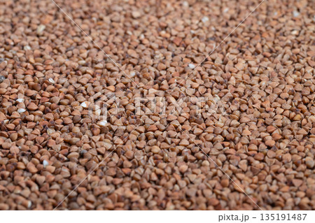 Organicthemed textured pattern for visual materials, Textured buckwheat backdrop perfect for organic label designs and website banners showcasing warmth and subtle highlights Organicthemed textured pattern for visual materials, Textured buckwheat backdrop perfect for organic label designs and website banners showcasing warmth and subtle highlights 135191487