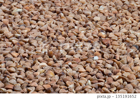 Macro shot emphasizes repetitive tactile surface with varied coloring, Detailed closeup displays textured buckwheat seed surface with warm color variations and pattern repetition 135191652