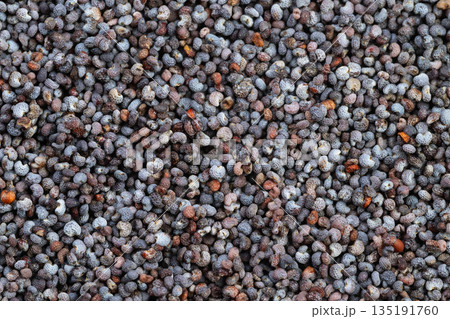 Microscopic view of poppy seeds for research purposes, Precise laboratory specimen of poppy seeds prepared for detailed scientific and educational investigations 135191760