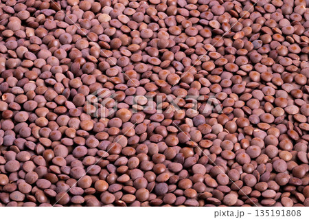 Closeup red lentil pellets covering surface, dense uniform texture, saturated tones, industrial supply context, suitable for packaging, logistics and commodity marketing Closeup red lentil pellets covering surface, dense uniform texture, saturated tones, industrial supply context, suitable for packaging, logistics and commodity marketing 135191808