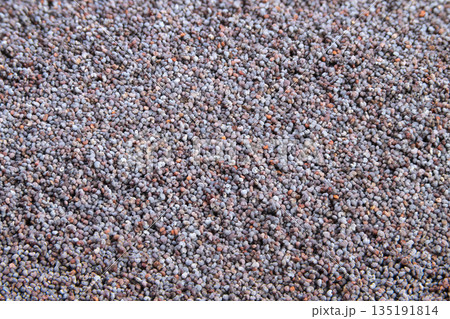 Even poppy seed surface for baking and recipe photography, offering soft neutral tones and subtle highlights, ideal for flatlay shots, product mockups, and clean editorial layouts 135191814