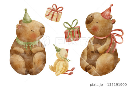 Watercolor illustration capybara animal, duck in party hat holding gift boxes. Guinea pig hand-drawn in childish style, isolated from background for design cards packaging posters birthday invitations 135191900