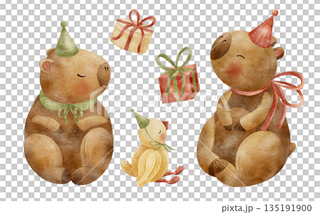 Watercolor illustration capybara animal, duck in party hat holding gift boxes. Guinea pig hand-drawn in childish style, isolated from background for design cards packaging posters birthday invitations 135191900