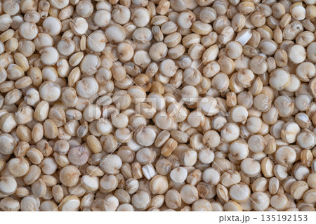 Laboratory analysis of quinoa grains, Microscopic examination of quinoa seed samples, Detailed laboratory testing and microscopic analysis of quinoa seeds for research purposes Laboratory analysis of quinoa grains, Microscopic examination of quinoa seed samples, Detailed laboratory testing and microscopic analysis of quinoa seeds for research purposes 135192153