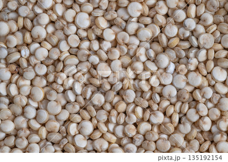 Allergyfriendly recipes incorporate white quinoa as core ingredient, White quinoa seeds serve as glutenfree foundation for diverse culinary creations and meal plans 135192154