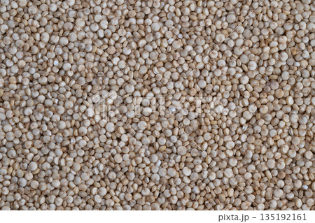 Closeup of beige quinoa seed surface pattern, Detailed closeup capturing texture and color variations of white quinoa seeds for culinary presentation and branding Closeup of beige quinoa seed surface pattern, Detailed closeup capturing texture and color variations of white quinoa seeds for culinary presentation and branding 135192161