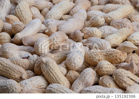 Natural raw peanuts with rustic background, Closeup of peanut skins on burlap surface, Detailed view of peanut shells resting on rugged burlap with earthy tones and ambient light 135192306