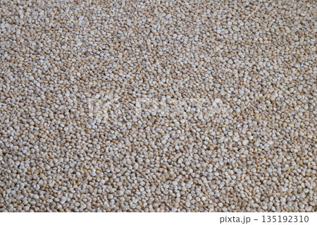 Earthy vibe visuals, Raw quinoa seeds highlight genuine farm freshness, Tactile surface of pale quinoa seeds illustrates organic appeal and sustainable food concepts 135192310