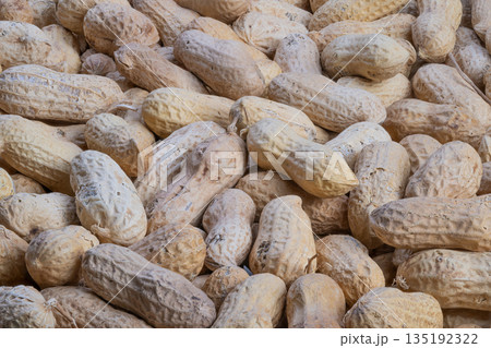 Closeup raw peanut shells in pile, earthy textured shells piled together, natural lighting, visible dust, rustic farm mood, macro focus on shell pattern and color Closeup raw peanut shells in pile, earthy textured shells piled together, natural lighting, visible dust, rustic farm mood, macro focus on shell pattern and color 135192322