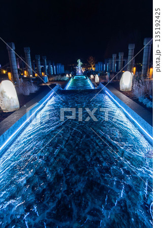 ぐんまフラワーパークプラスのライトアップイベント 135192425