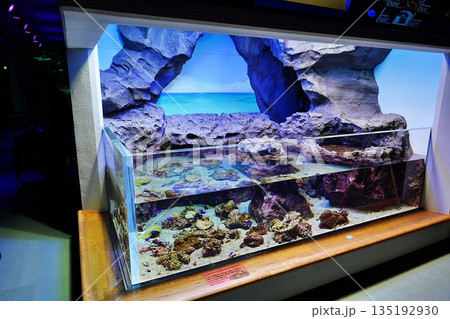 水族館の風景 135192930