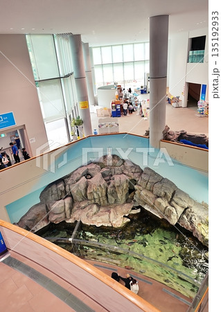 しまね海洋館アクアスの風景 135192933