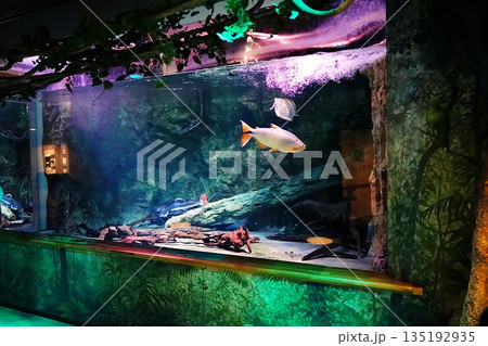 水族館の風景 135192935