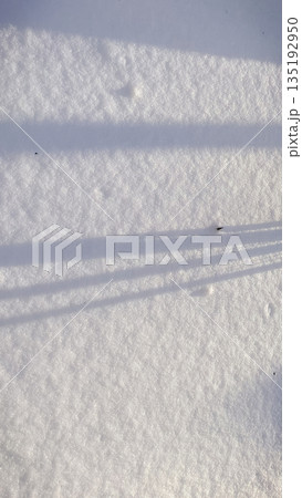 Long blue shadows cast across a textured surface of sparkling white snow on a bright winter day Long blue shadows cast across a textured surface of sparkling white snow on a bright winter day 135192950