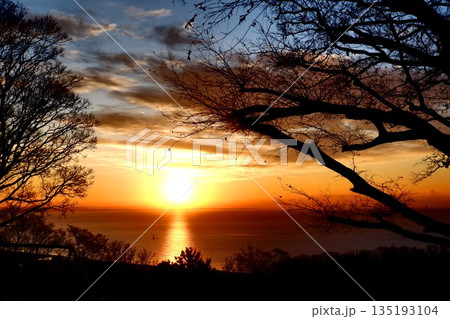 湘南 湘南 135193104