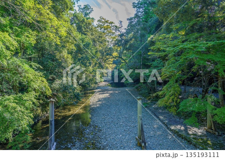伊勢神宮 五十鈴川の新緑と清流 日本の伝統的な自然風景 伊勢神宮 五十鈴川の新緑と清流 日本の伝統的な自然風景 135193111