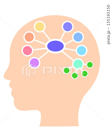 マインドマップのイメージイラスト　脳内で枝分かれし細分化されていく思考 135193150