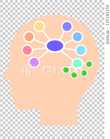 マインドマップのイメージイラスト　脳内で枝分かれし細分化されていく思考 135193150