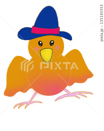 帽子をかぶって羽を広げたかわいい鳥のイラスト 135193353