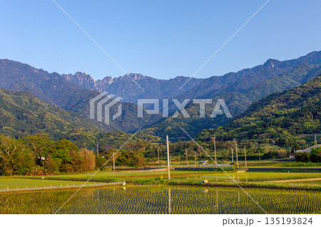 永田岳と田んぼ　神が宿る島屋久島(春 135193824