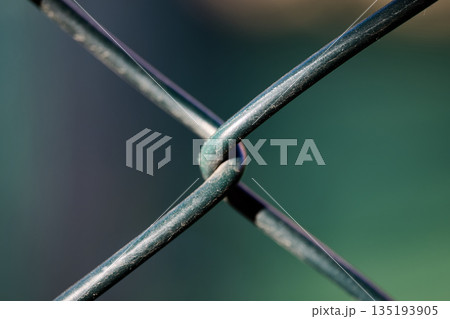Abstract macro shot of a green wire fence junction with soft green and blue bokeh Abstract macro shot of a green wire fence junction with soft green and blue bokeh 135193905