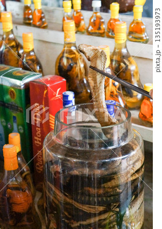 アルコール度数の高いハブ酒の中からハブを取り出す アルコール度数の高いハブ酒の中からハブを取り出す 135193973