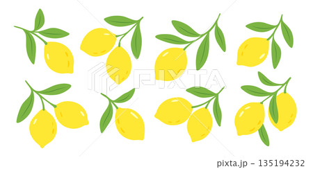 Lemons with leaves in flat style illustration 135194232