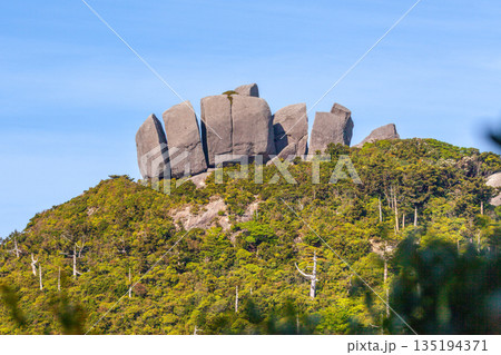トーフ岩　世界自然遺産屋久島(春 135194371