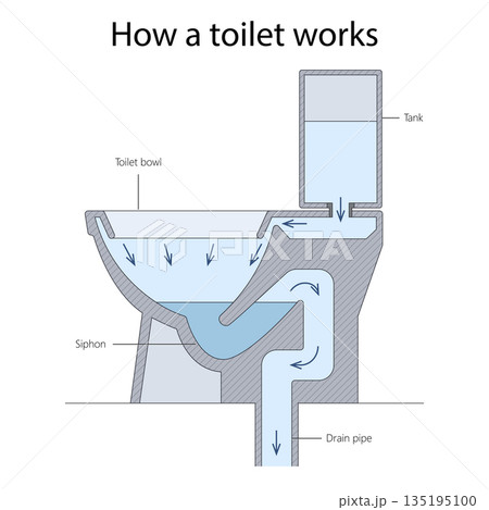 How a Toilet Works Flushing Mechanism Explained How a Toilet Works Flushing Mechanism Explained 135195100