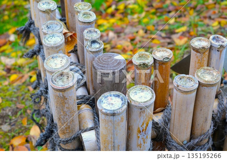 竹の束と落ち葉の秋の風景 135195266