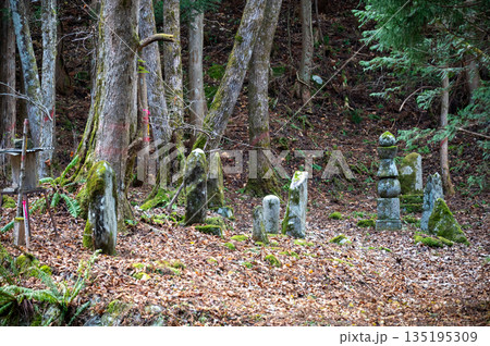 晩秋の早池峰神社、瀬織津姫の神社参道横の石塔 135195309