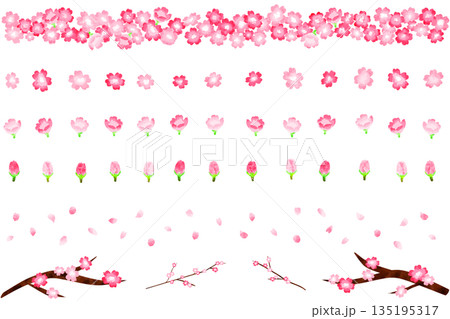 水彩の桜のライン素材 135195317