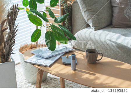 日の当たるリビングとソファーとテーブル,観葉植物 135195322