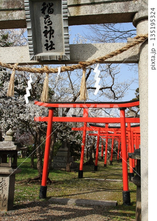 神社の境内にある鳥居 135195324