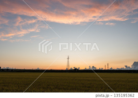 【田舎の風景】田んぼに広がる夕焼け空と鉄塔 135195362