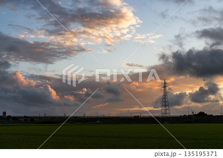 【田舎の風景】田んぼに広がる夕焼け空と鉄塔 【田舎の風景】田んぼに広がる夕焼け空と鉄塔 135195371