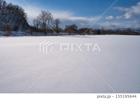 晴れた雪原と木々 ヨコ 晴れた雪原と木々 ヨコ 135195644