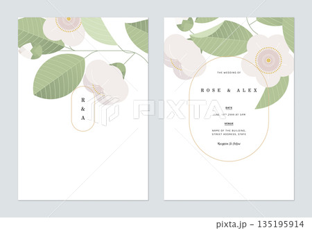 Floral wedding invitation card template design, white camellia flower and leaves Floral wedding invitation card template design, white camellia flower and leaves 135195914