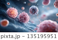 顕微鏡下で増殖するがん細胞 135195951
