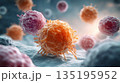 顕微鏡下で増殖するがん細胞 135195952