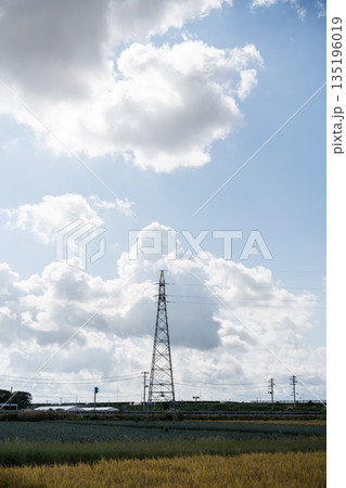 田んぼに立つ鉄塔と空_夏の入道雲 田んぼに立つ鉄塔と空_夏の入道雲 135196019