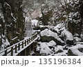 冬の乙女渓谷 135196384